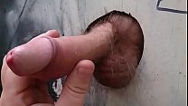cock